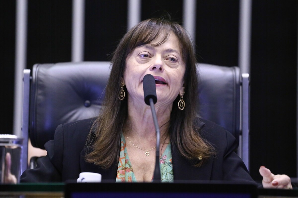 Alice Portugal alerta sobre risco de crise entre Poderes com PL da Anistia e defende maior debate sobre fim da reeleição - 