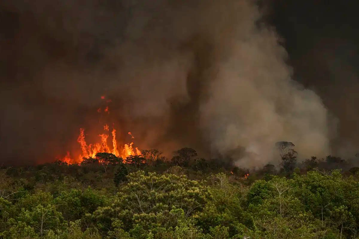 Câmara aprova aumento de pena para quem provocar incêndios florestais; multa e proibição de contratos públicos - 
