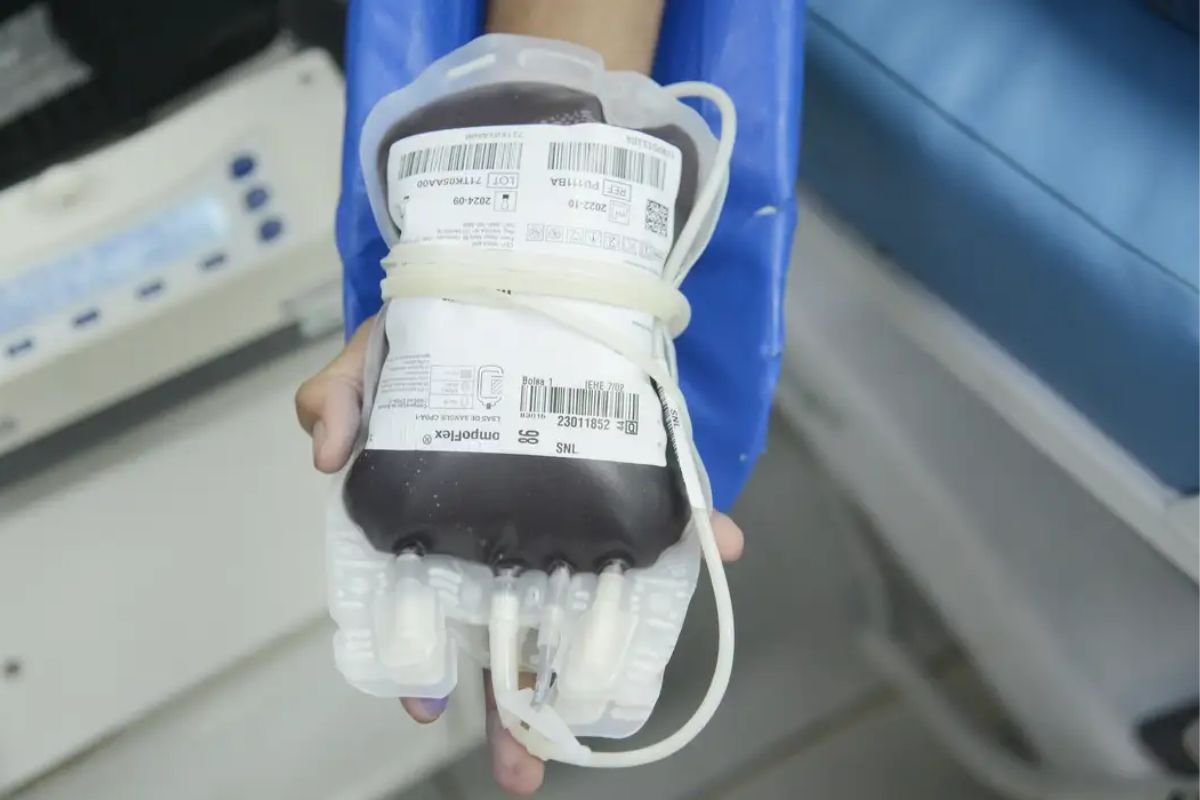 STF reafirma direito de recusar transfusão de sangue por motivos religiosos - 