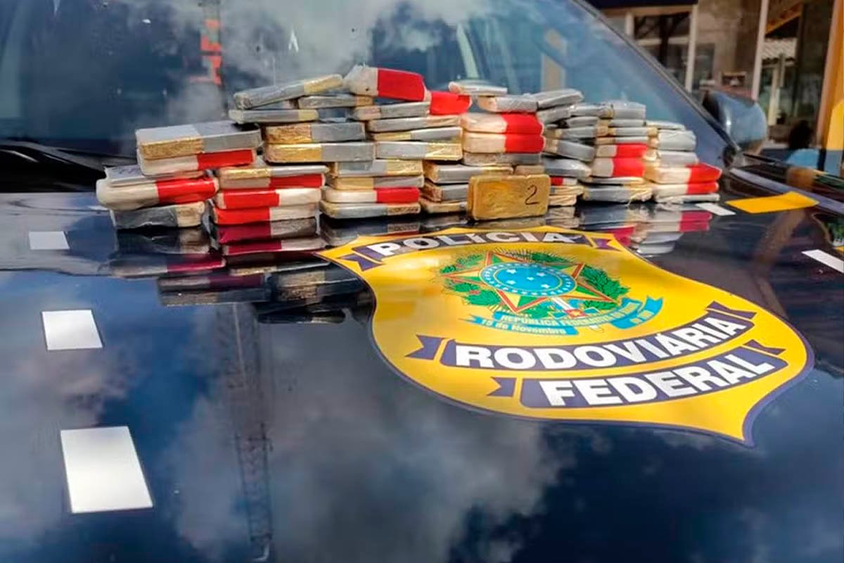 PRF apreende 143 kg de ouro e fuzis em mega operação na Amazônia: o que está por trás das prisões milionárias - 