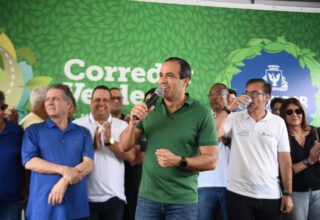 Salvador lança Corredor Verde com 115 novas árvores na Pituba e prevê expansão até 2028 - 
