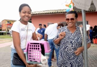 Salvador ultrapassa 200 mil animais vacinados contra raiva e campanha termina na terça-feira - 