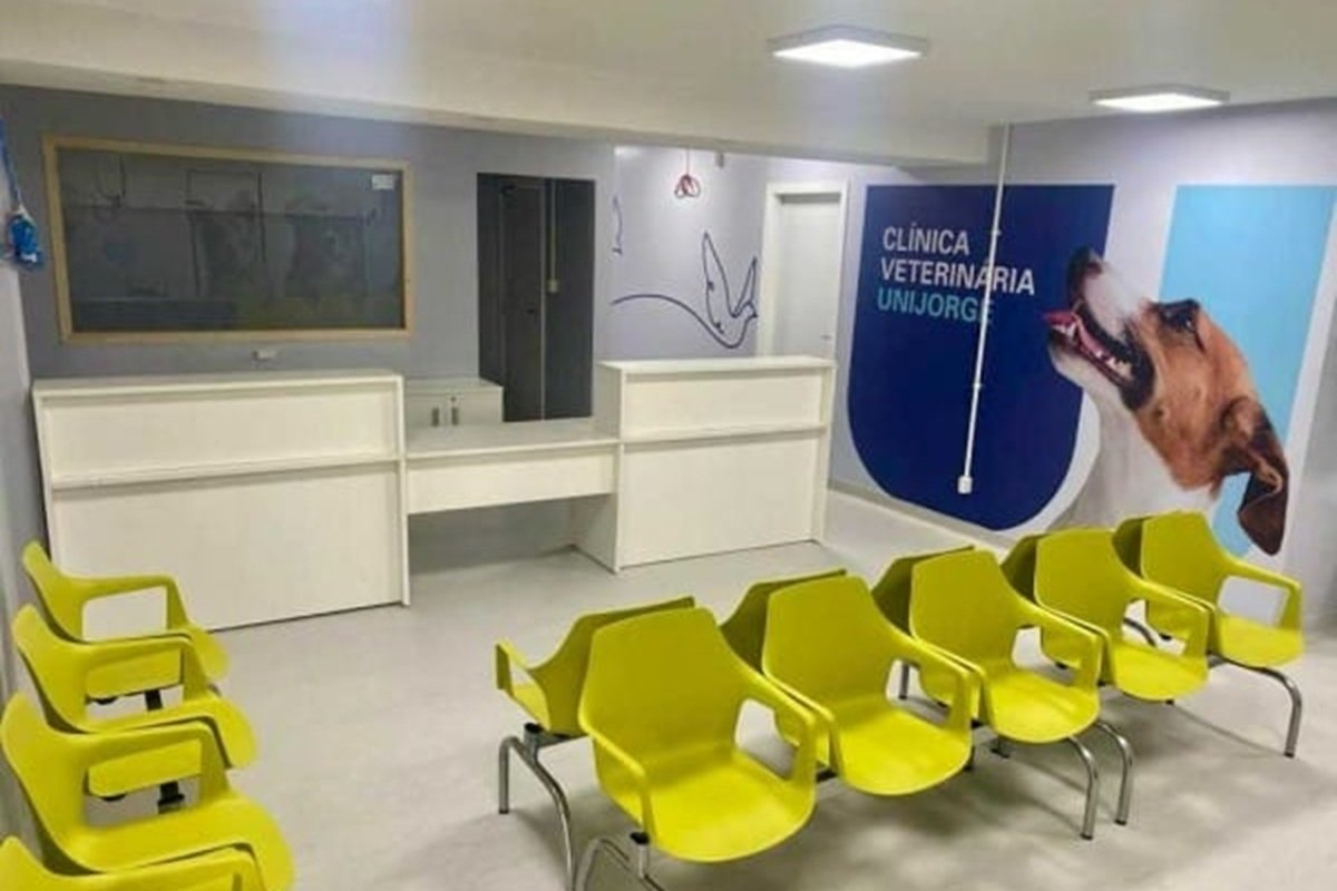 Outubro Rosa Pet: universidade promove ação para prevenção do câncer de mama em cadelas e gatas - 