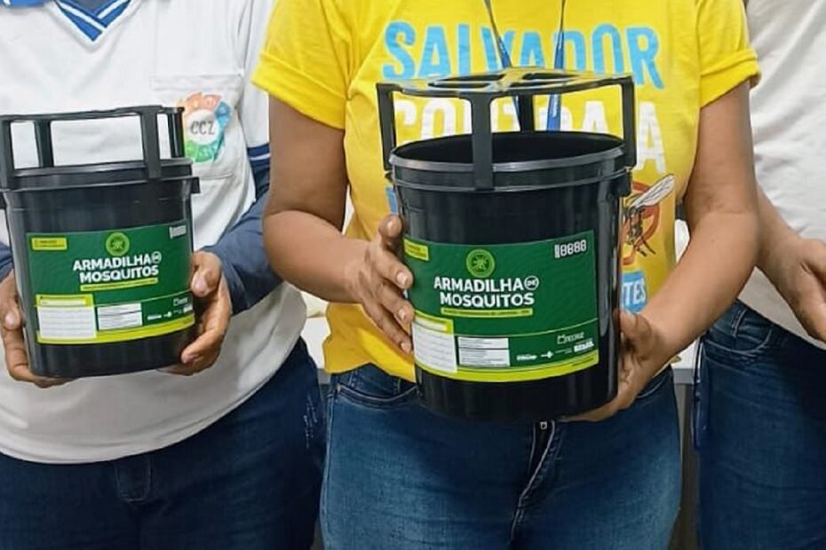 Salvador inicia uso de tecnologia inédita contra o Aedes aegypti e reforça combate contra arboviroses; confira - 