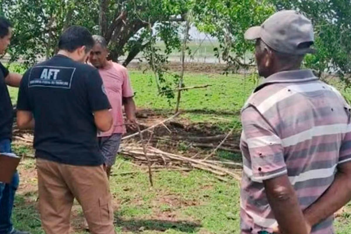 Operação nacional contra trabalho escravo resgata três trabalhadores na Bahia - 