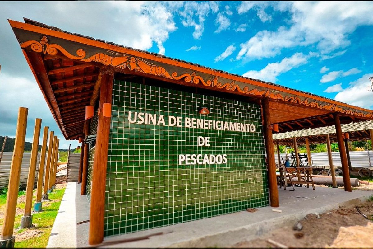 Ilha de Bom Jesus dos Passos ganha 1ª usina de pescado e fortalece trabalho das marisqueiras - 
