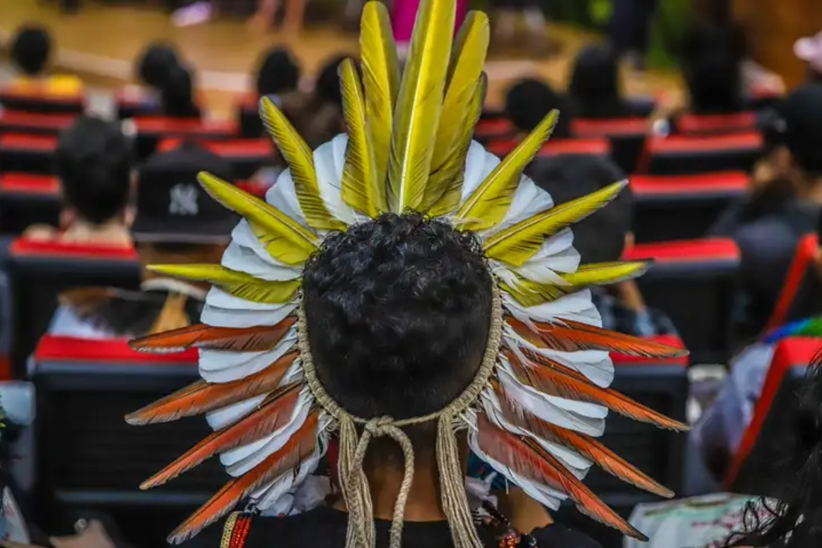 Bahia é o 3º estado com maior diversidade indígena do Brasil: veja os povos e línguas mais faladas - 