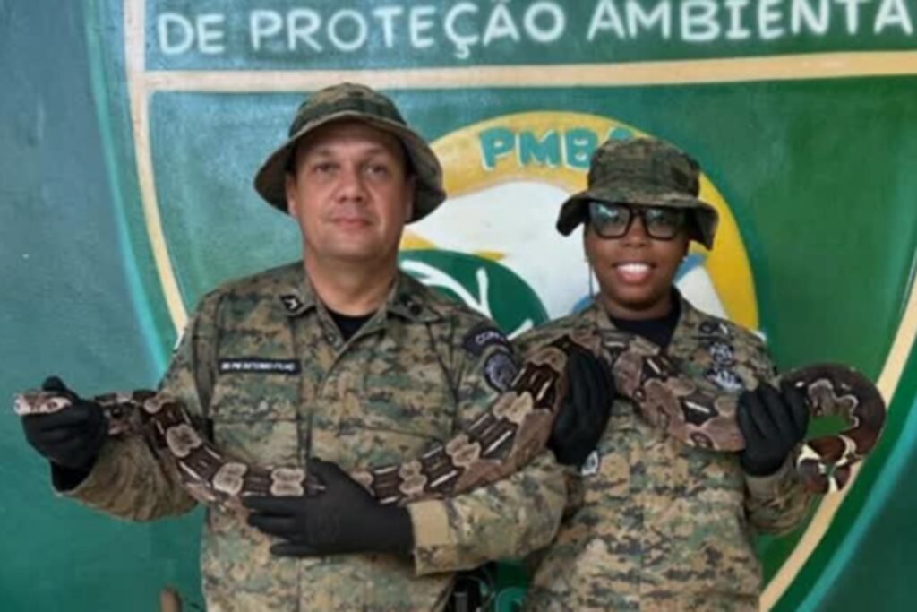 Aumento de animais silvestres como pets impulsiona demanda por atendimento veterinário e reforça debate sobre manejo e bem-estar