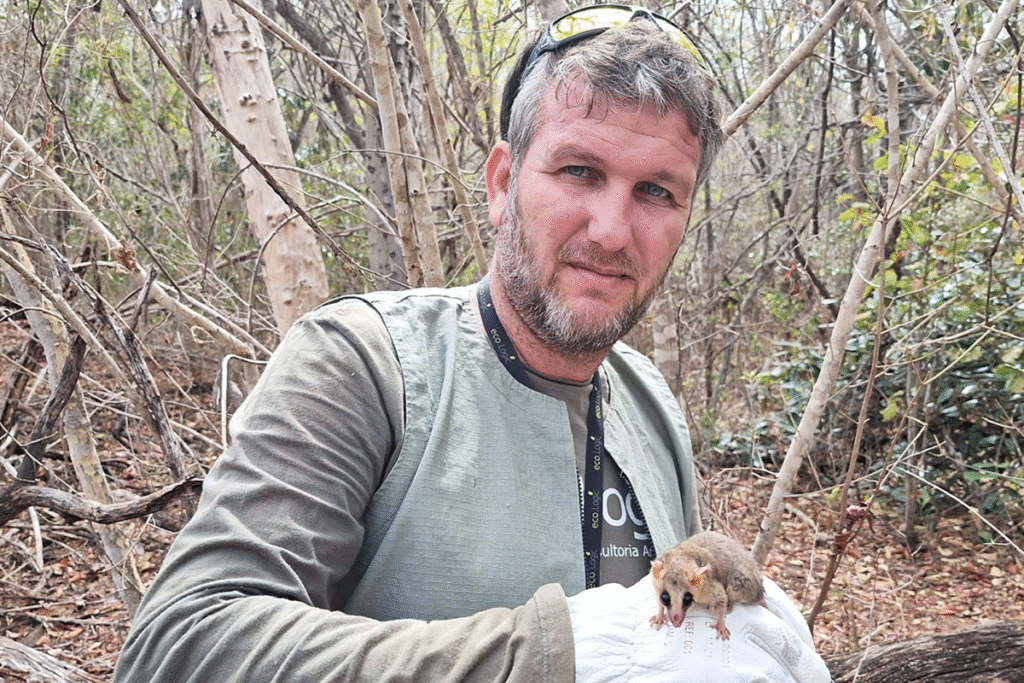 Aumento de animais silvestres como pets impulsiona demanda por atendimento veterinário e reforça debate sobre manejo e bem-estar