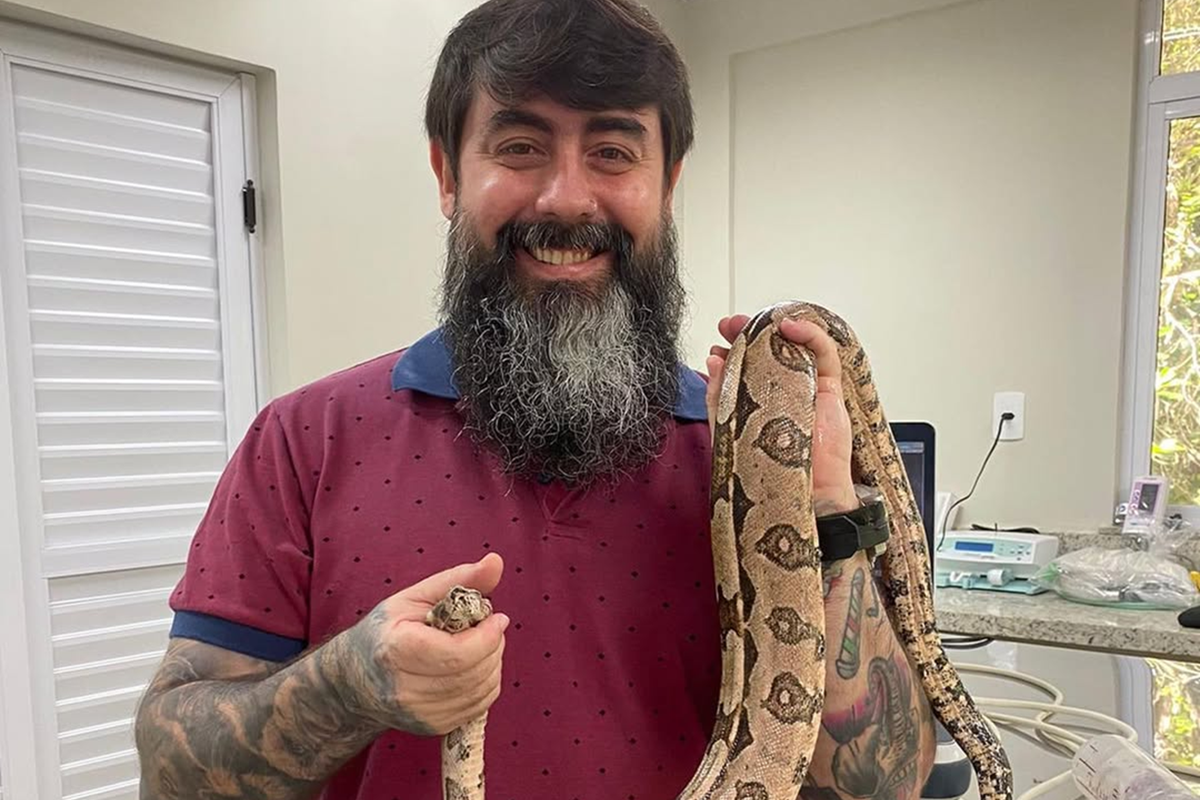 Aumento de animais silvestres como pets impulsiona demanda por atendimento veterinário e reforça debate sobre manejo e bem-estar - 