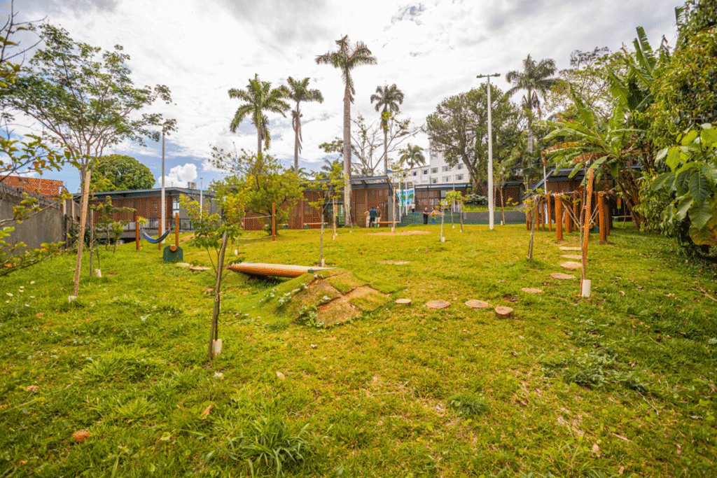 Parque Naturalizado do Cima supera 5 mil visitantes e amplia contato das crianças com a natureza