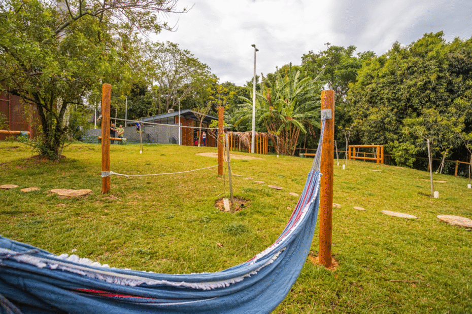 Parque Naturalizado do Cima recebe mais de 5 mil visitantes em menos de um mês no Bonfim - 