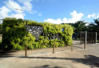 Parque da Cidade recebe feira de saúde do homem e empreendedorismo feminino nesta quinta e sexta-feira - 