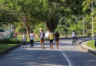 Parque da Cidade recebe Feira de Sustentabilidade e Agroecologia neste sábado com programação gratuita - 