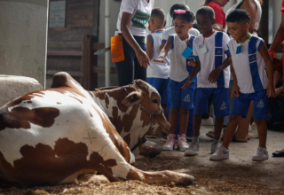 Fenagro 2025 encerra edição com shows, experiências rurais e público intenso em Salvador - 
