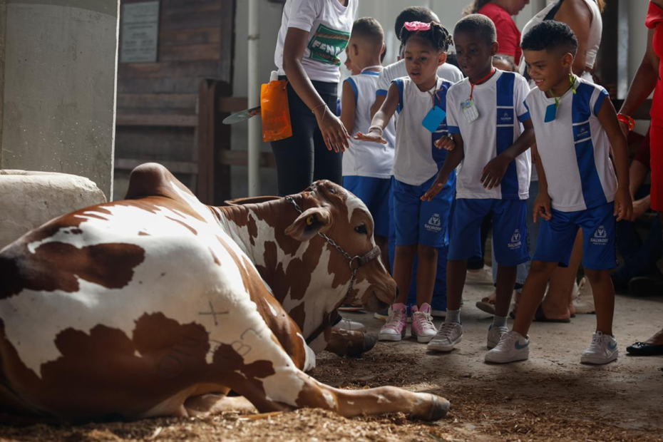 Fenagro 2025 encerra edição com shows, experiências rurais e público intenso em Salvador - 