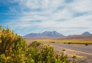 80 Frases Bonitas: mensagens curtas e inspiradoras para compartilhar todo dia - 