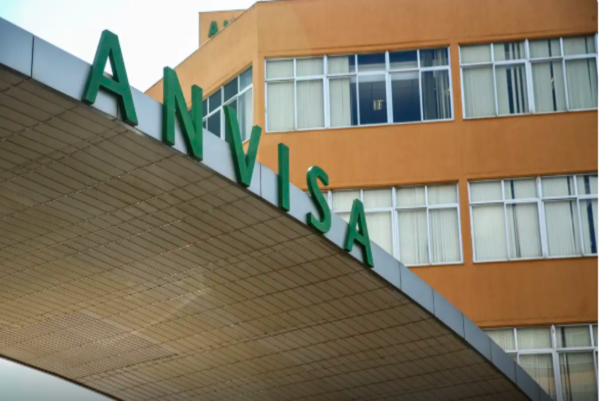 Anvisa determina recolhimento de panetones e chocotones contaminados com fungos - 