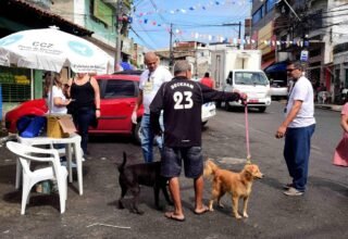 Salvador supera meta nacional e vacinação antirrábica atinge 102,5% de cobertura - 