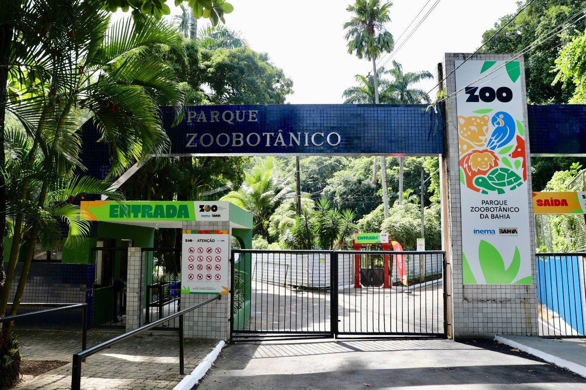 Parque Zoobotânico da Bahia fecha para visitação durante Carnaval de Salvador - 
